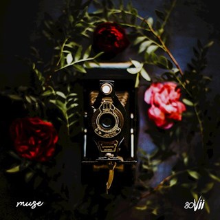 Tings by 80 VII Download
