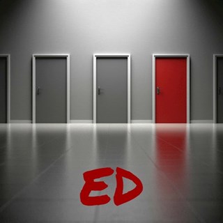 Ed by Alice Minguez Download