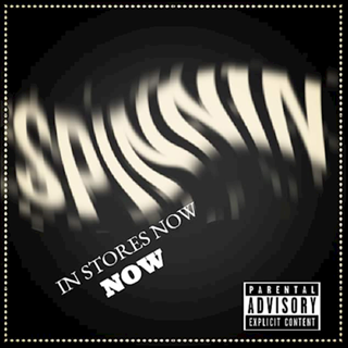 Spinnin by Global Gekko Download