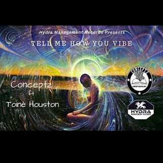 Tell Me How You Vibe by Conceptz ft Toine Houston Download
