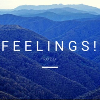 Feelings by Rodd Download