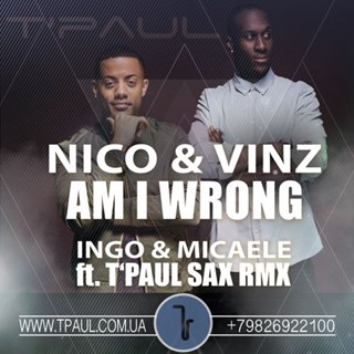 Am I Wrong by Nico & Vinz Download