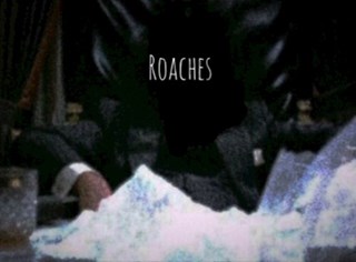 Roaches by Sliim Bambino Download