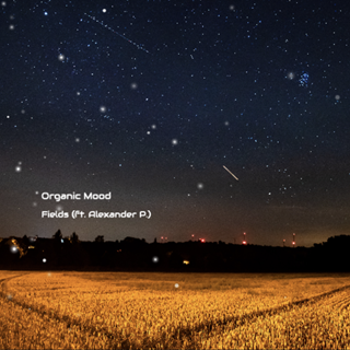 Fields by Organic Mood ft Alexander P Download