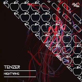 Nightwing by Tenzer Download