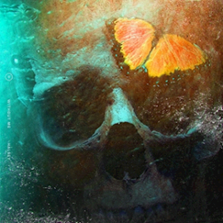 Without Me by Halsey Download