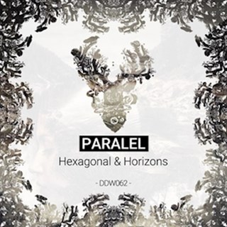 Hexagonal by Paralel Download