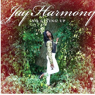 Feel Me by Jay Harmony Download
