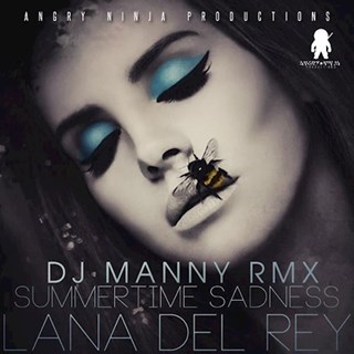 Summertime Sadness by Lana Del Rey Download