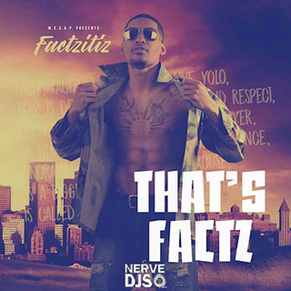 Thatz Factz by Factzitiz Download