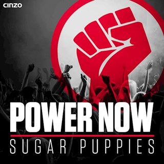 Power Now by Sugar Puppies Download