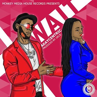 Wait by Akay Centric Download