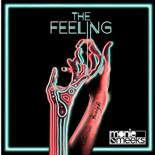 The Feeling by Monie & Meeks Download