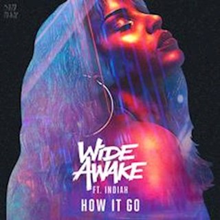 How It Go by Wide Awake ft Indiah Download