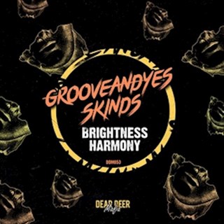 Brightness Harmony by Groove & Yes ft Skinds Download