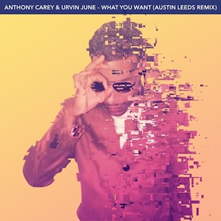 What You Want by Anthony Carey & Urvin June Download