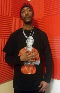 Snakes In The Grass by C Rollin Download