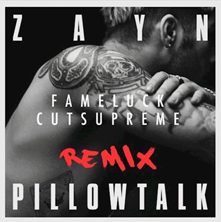 Pillowtalk by Zayn Download