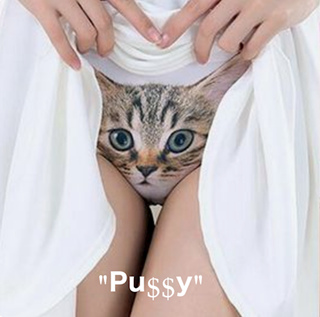 That Cat by Mr Petty & The Boyz Download