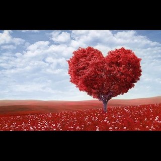 Declaration Of Love by Rene Brene & Elektra Download