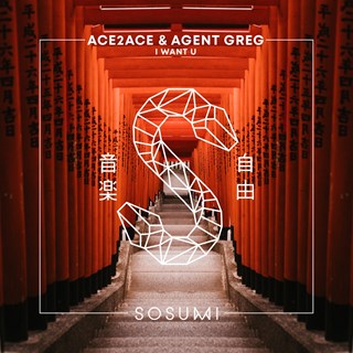 I Want U by Ace 2 Ace & Agent Greg Download