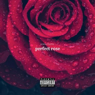 Perfect Rose by Mc Drill Download