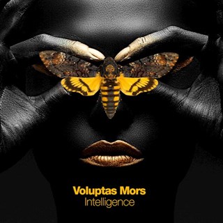 Cant You See by Voluptas Mors Download