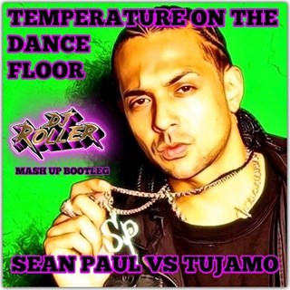 Temperature On The Dancefloor by Sean Paul vs Tujamo Download