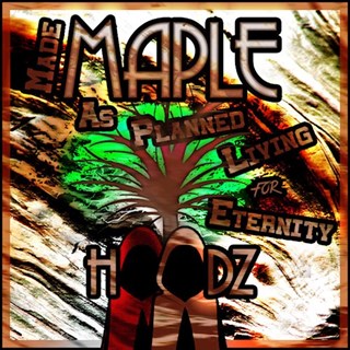 Richer Than Rich by Havoc Hoodz Download