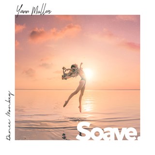 Dance Monkey by Yann Muller Download