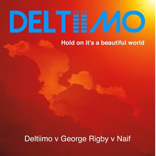 Hold On Its A Beautiful World by Deltiimo, George Rigby & Naif Download