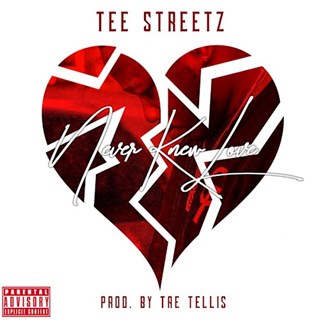 Never Knew Love by Tee Streetz Download