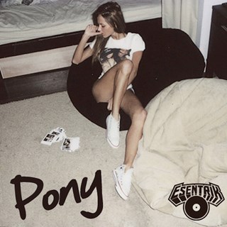 Pony by Ginuwine Download