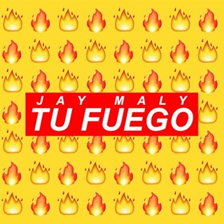 Tu Fuego by Jay Maly Download
