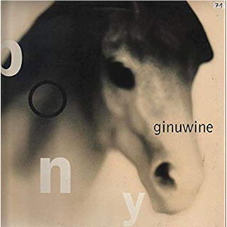 Pony by Ginuwine Download