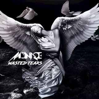 Wasted Tears by Monroe Download