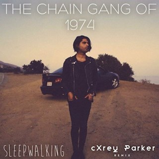 Sleepwalking by The Chain Gang Of 1974 Download