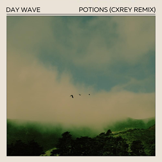 Potions by Day Wave Download