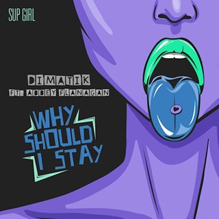 Why Should I Stay by Dimatik ft Abbey Flanagan Download