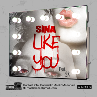 Like You by Sina ft 28 Download
