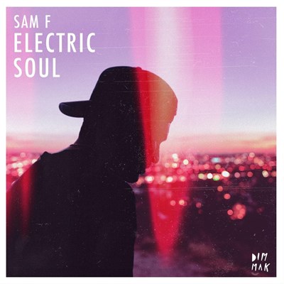 Sam F ft JVZEL - Zone (Original Mix)