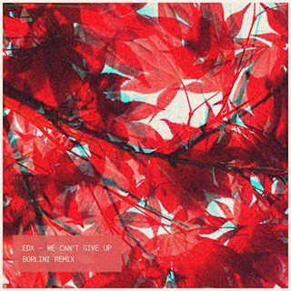 We Cant Give Up by Edx Download