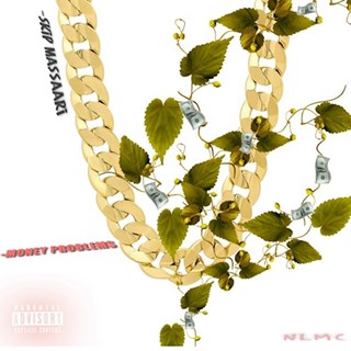 Money Problems by Skip Massaari Download