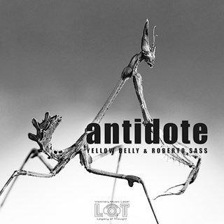 Mine by Yellow Belly & Roberto Sass Download