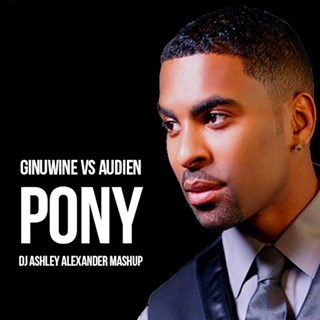Pony by Ginuwine vs Audien Download