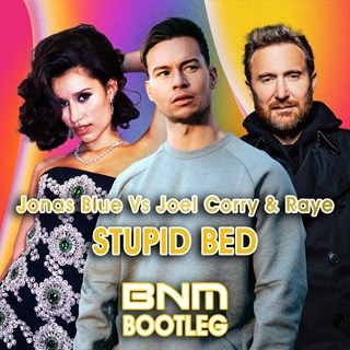 Stupid Bed by Jonas Blue vs Raye Download