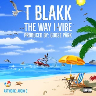 The Way I Vibe by T Blakk Download