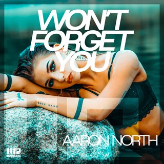 Wont Forget You by Aaron North Download