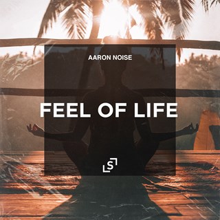 Feel Of Life by Aaron Noise Download