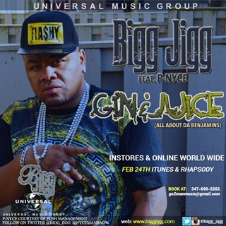 Gin & Juice by Bigg Jigg ft Pnyce Download
